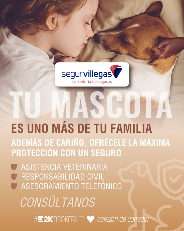 Mascotas Perros Gatos Seguros Segurvillegas Torrelavega Cabezon Corrales Cantabria santander torrelavega cantabria