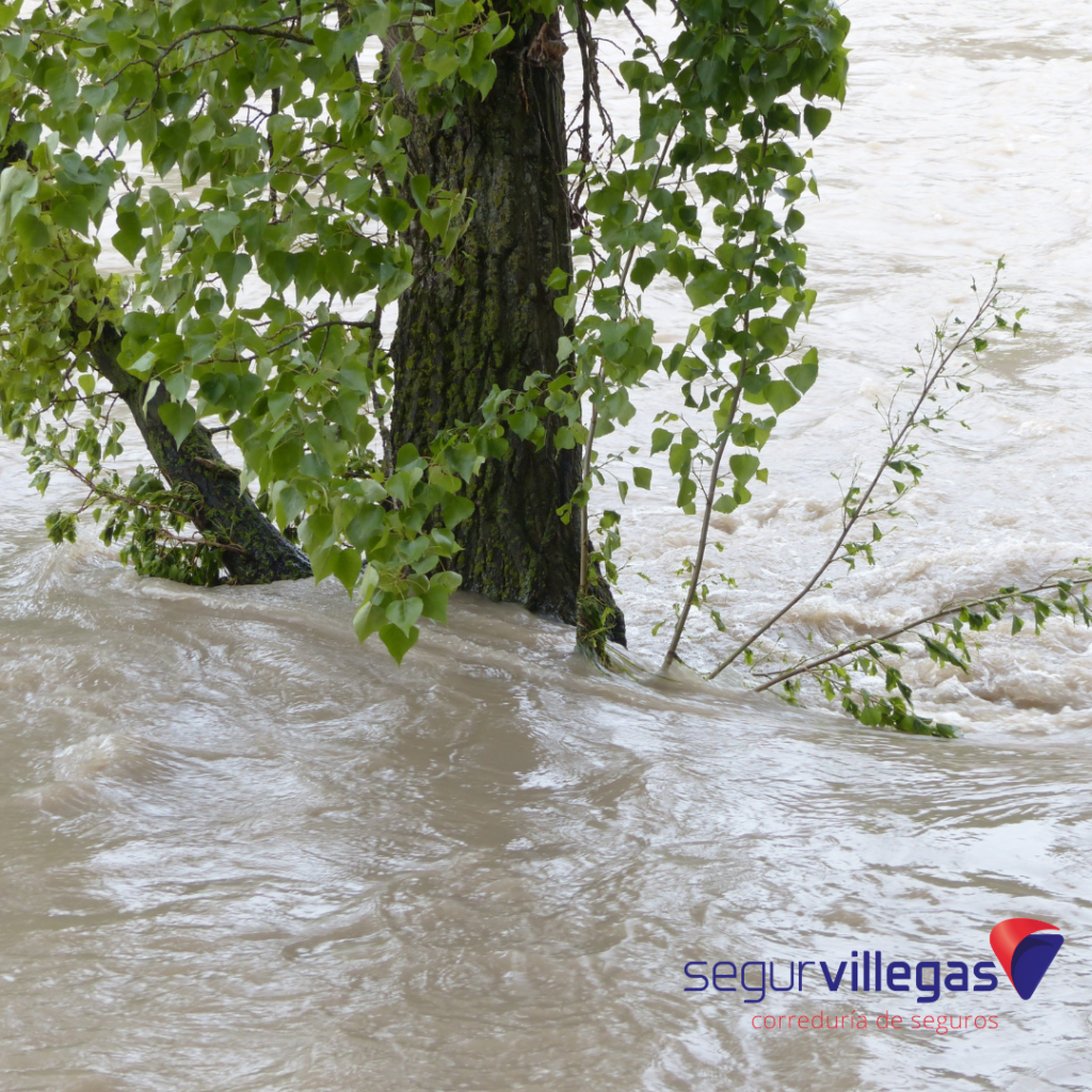 inundaciones